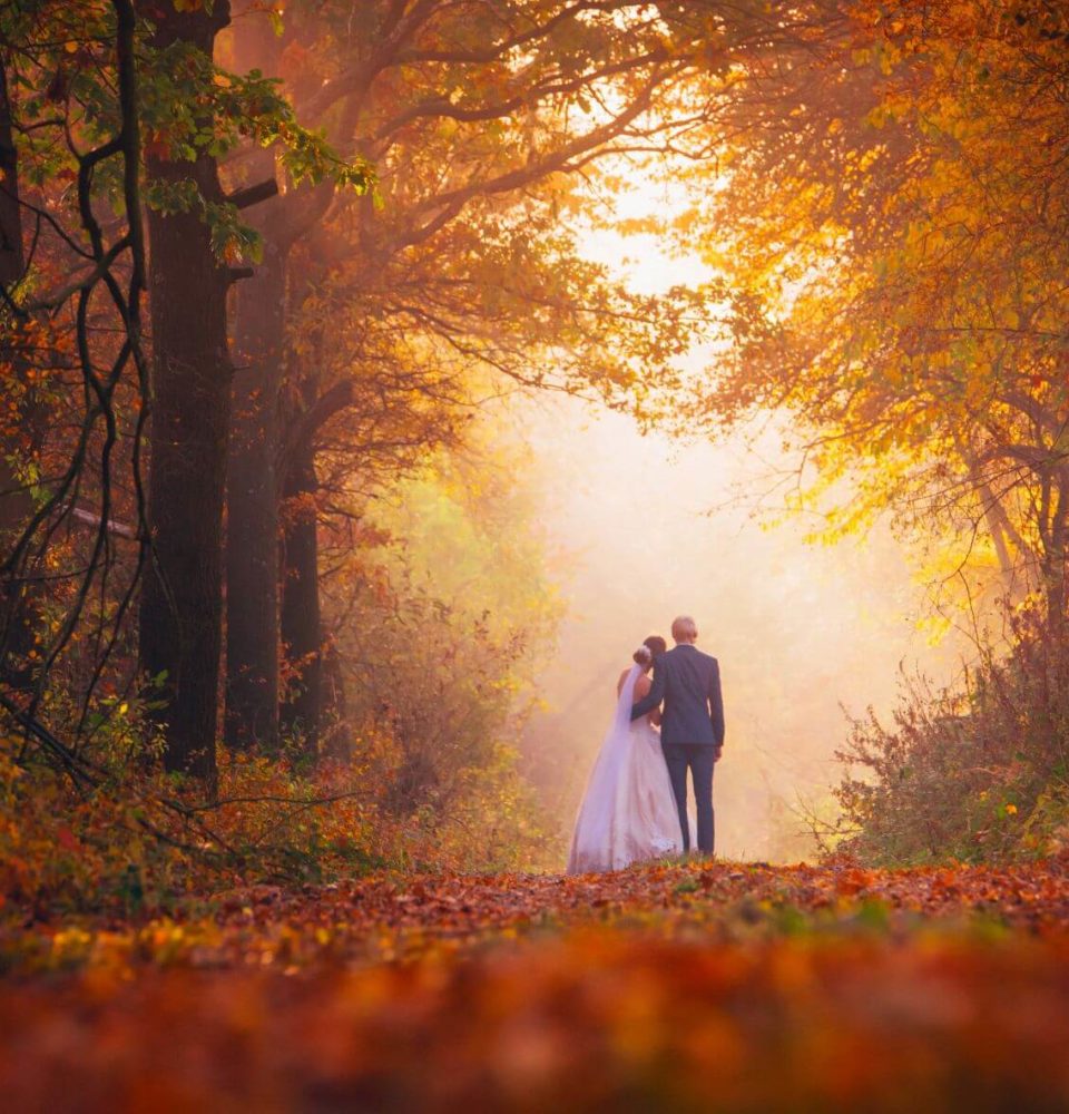 Fabulous Autumn Forest Wedding: The Best Places in South East UK 3 autumn wedding in forest