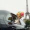 wedding car in france