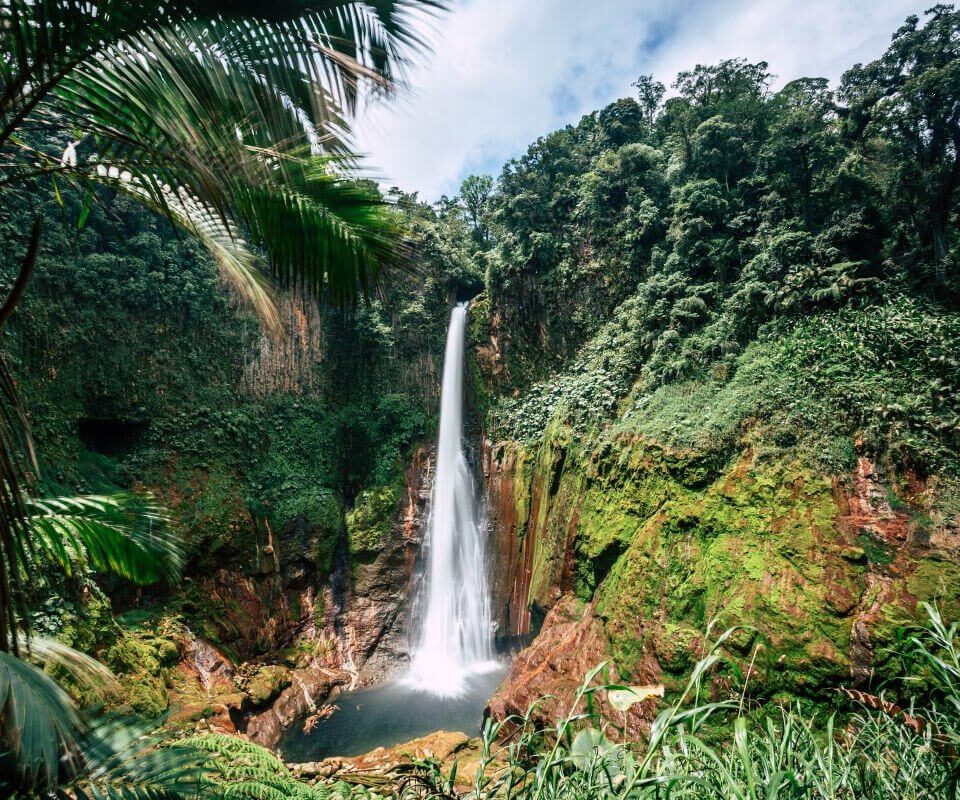 Costa Rica Honeymoon Holiday from the UK: Rainforest, Volcanoes and Beach Romance 21 Catarata del Toro into the Rainforest Costa Rica Central America